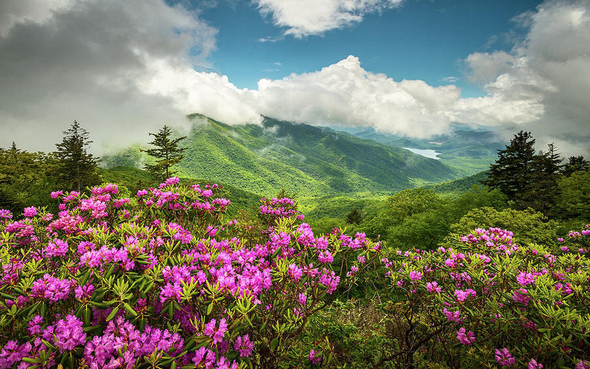 Mountain Landscape In Spring Image Abyss