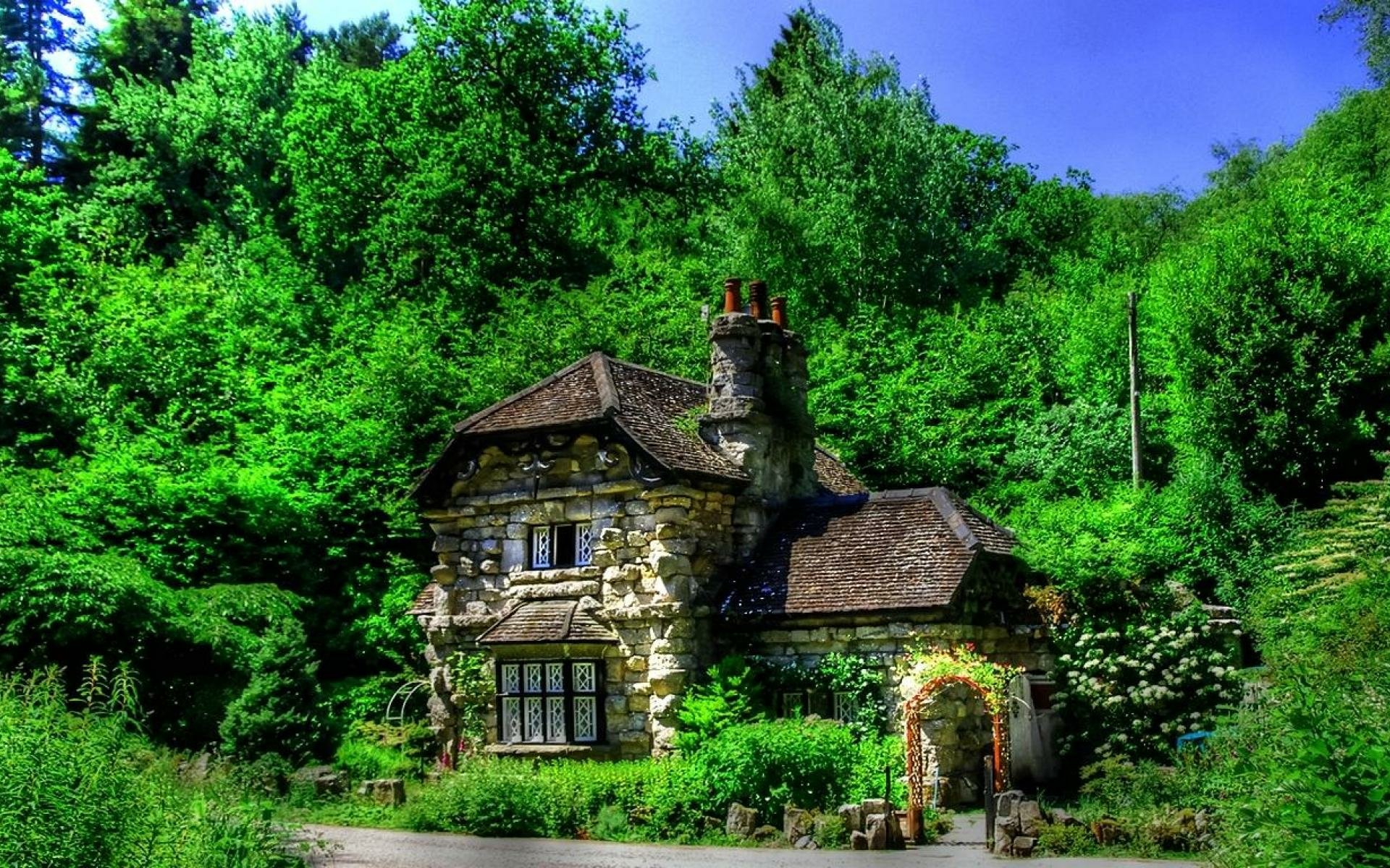 Cottage In Forest Image Abyss