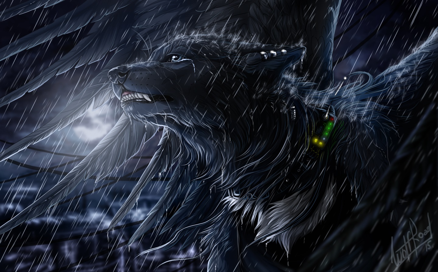 Wolf dragon pictures