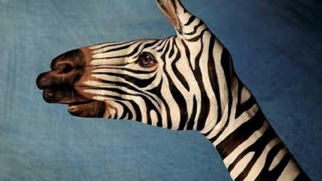 HAND PAINTED, ZEBRA Image Abyss