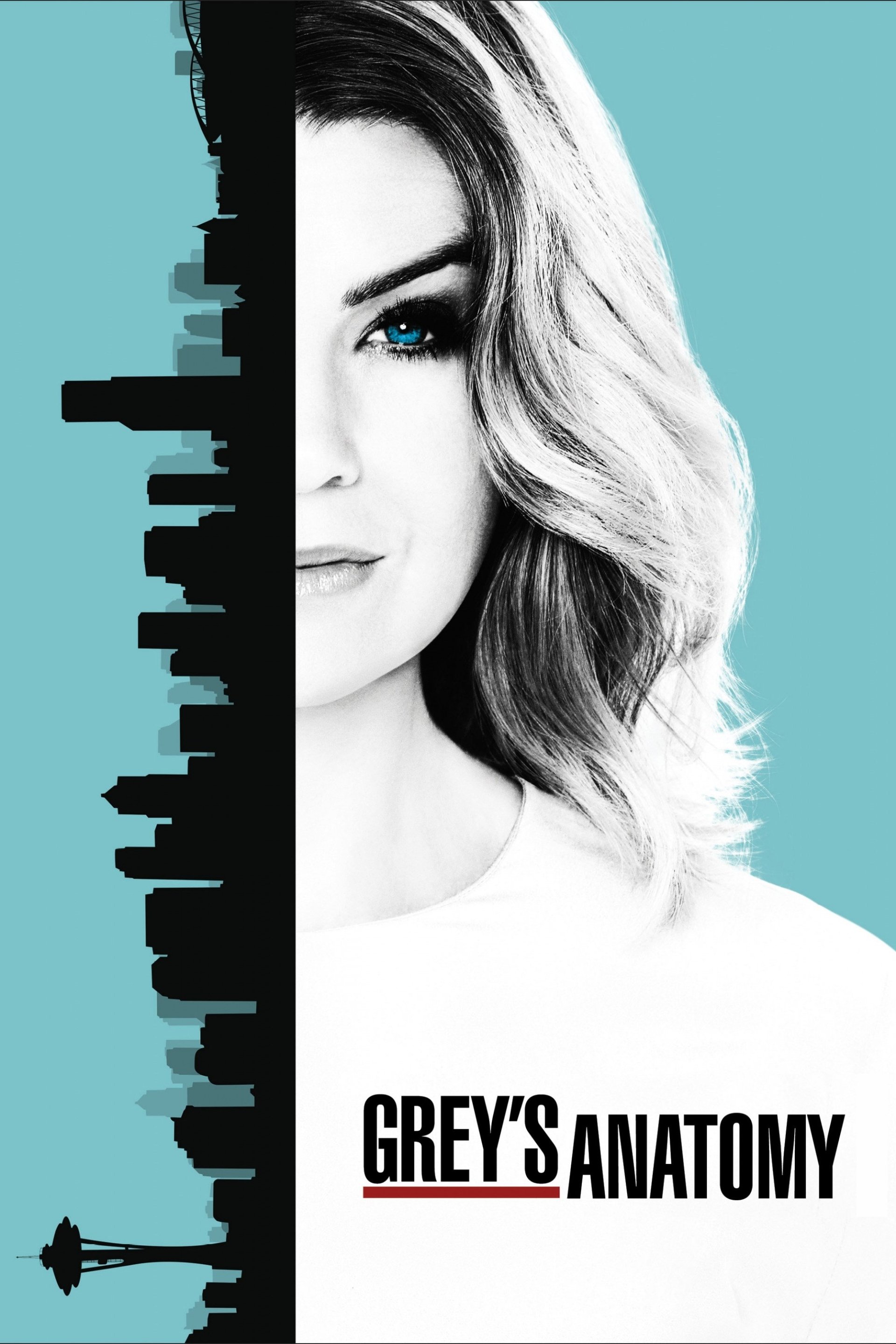 TV Show Grey's Anatomy Image