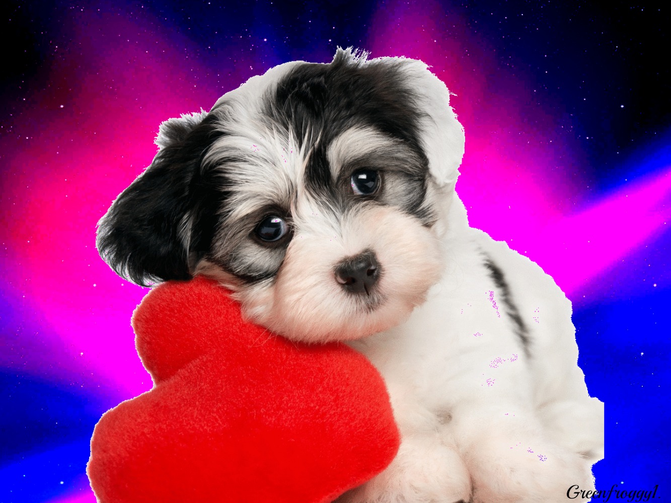 PUPPY LOVE Image - ID: 1031 - Image Abyss