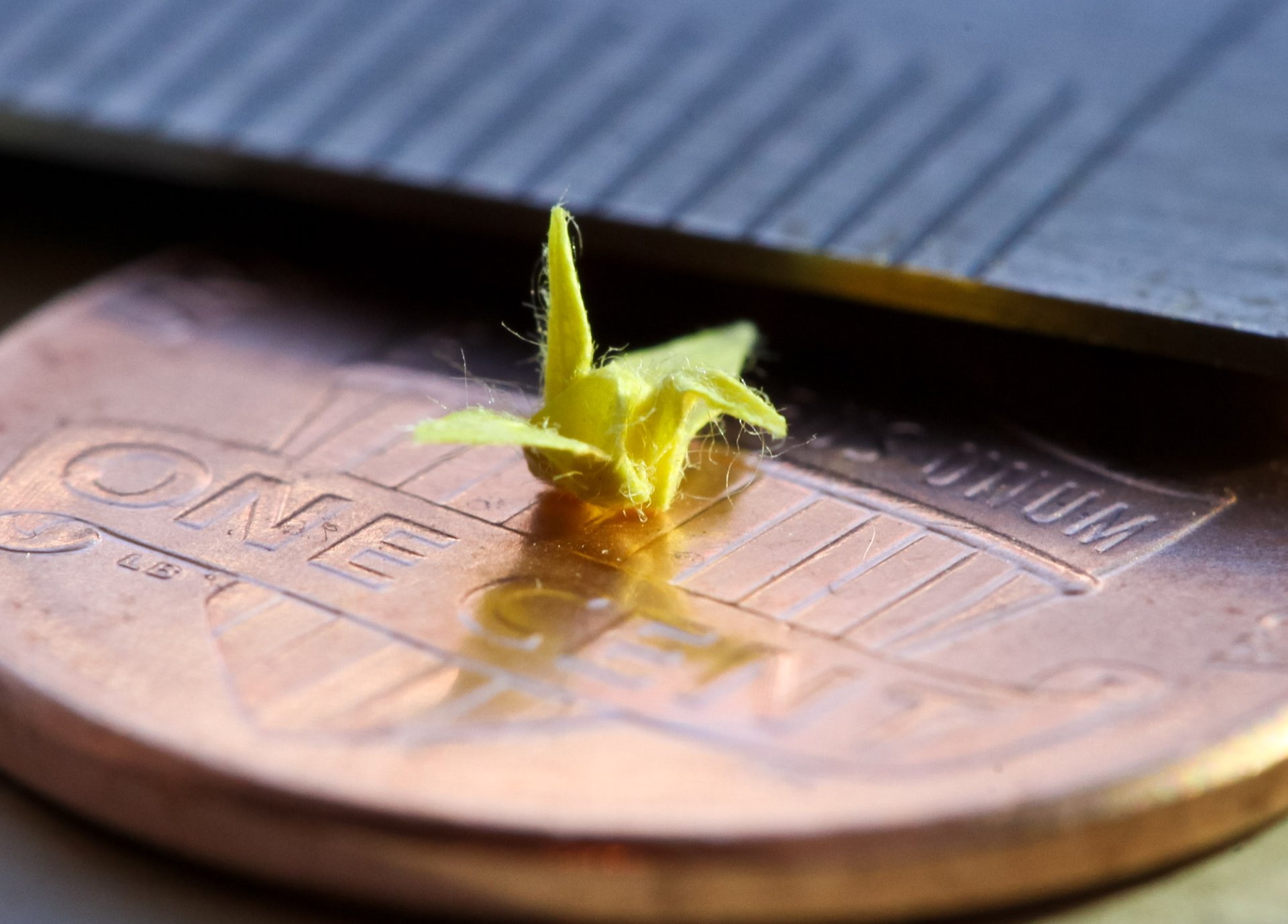 man made origami micro photography penny plant Image
