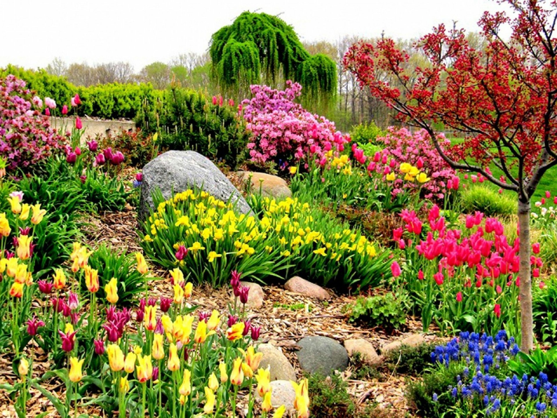 flower garden Image - ID: 10482 - Image Abyss