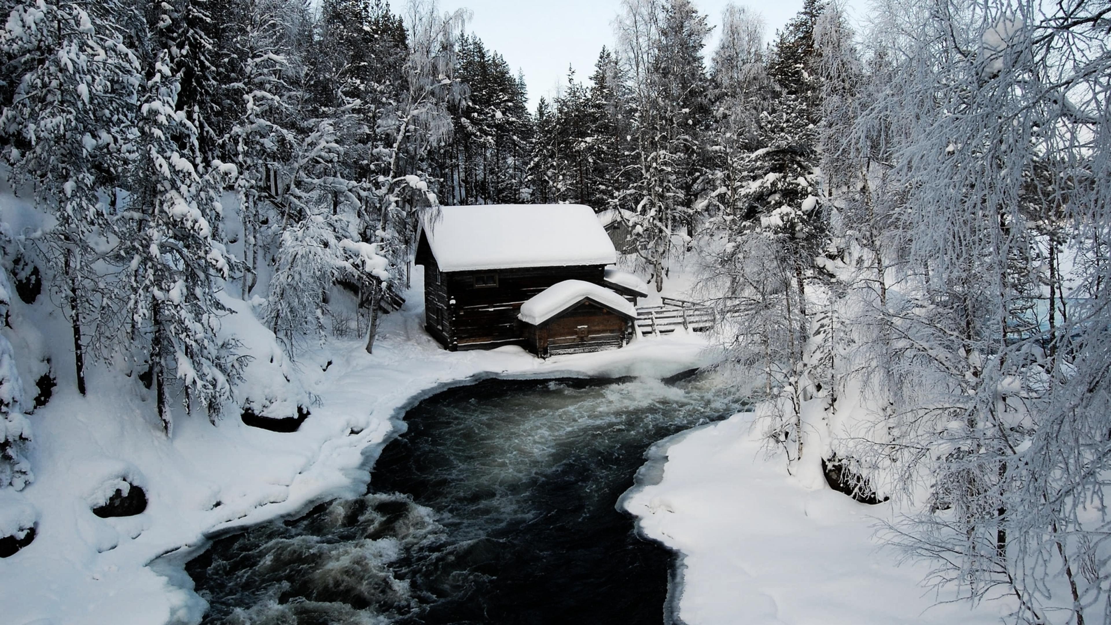 Finland lodge on the river and beech forest in the winter