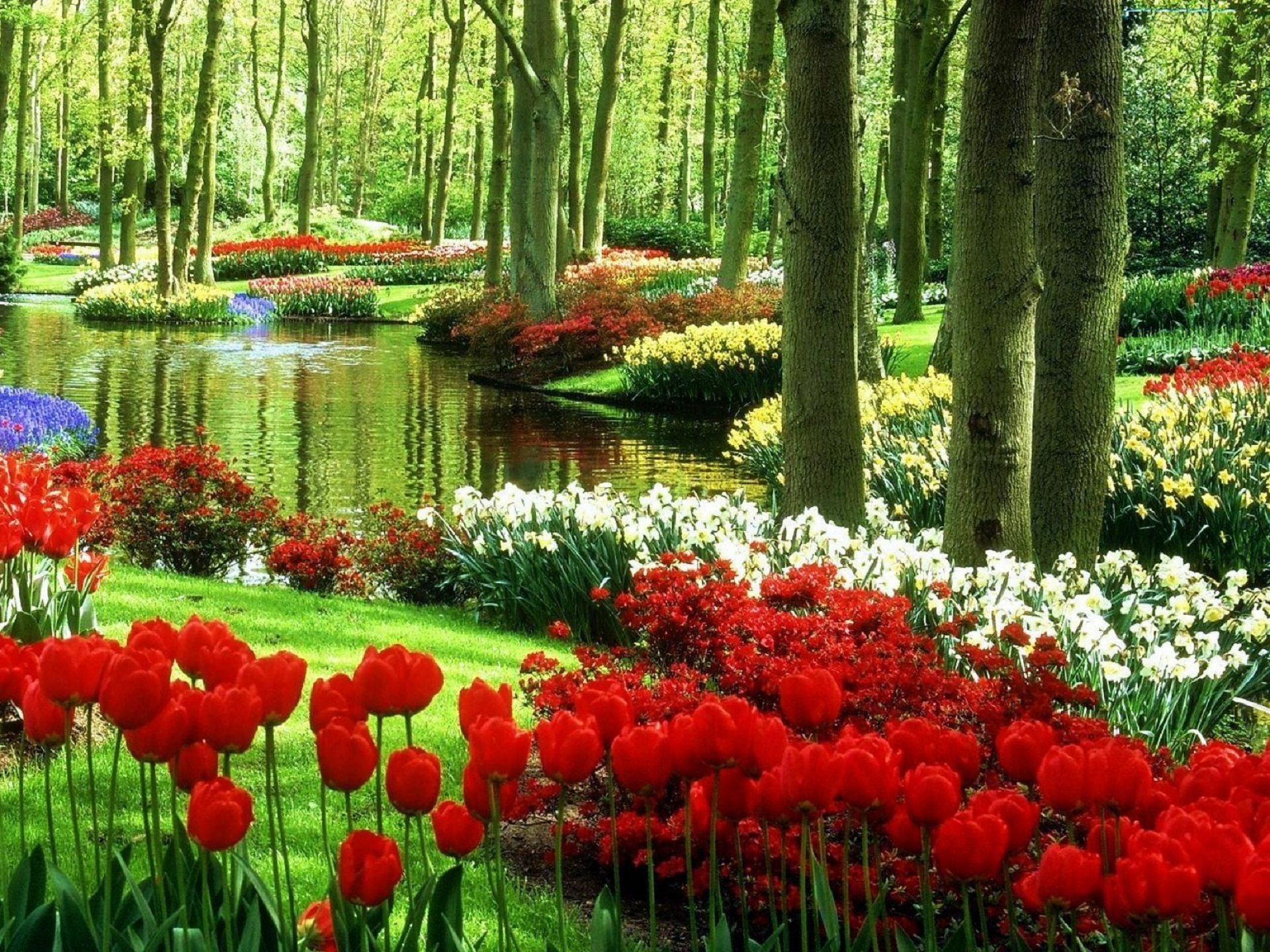  Keukenhof Gardens in Lisse, the Netherlands is synonymous wi