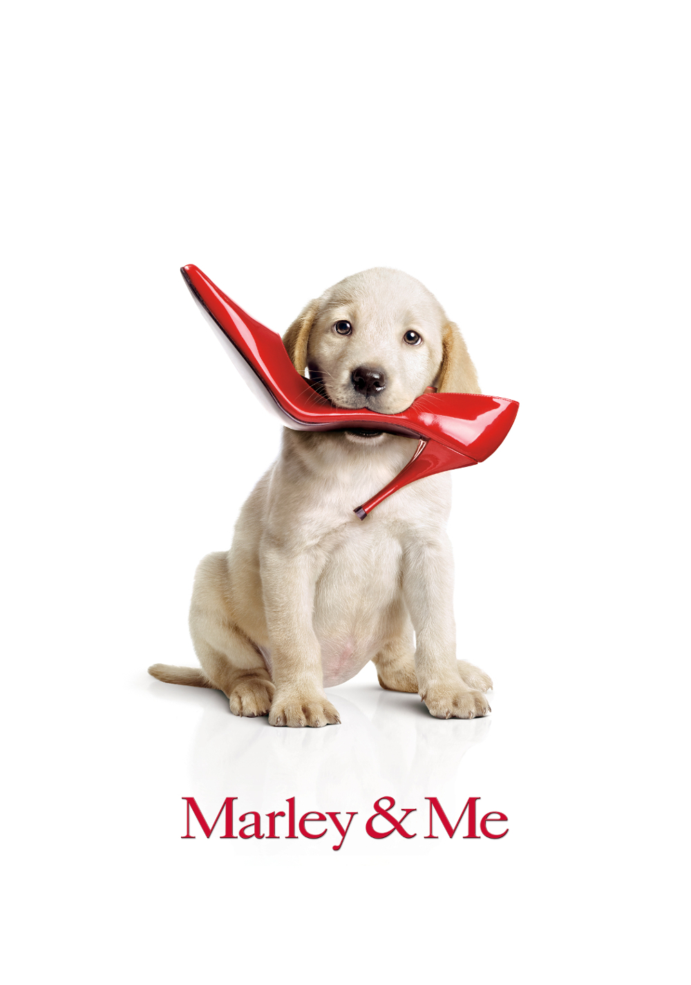 Marley & Me Picture