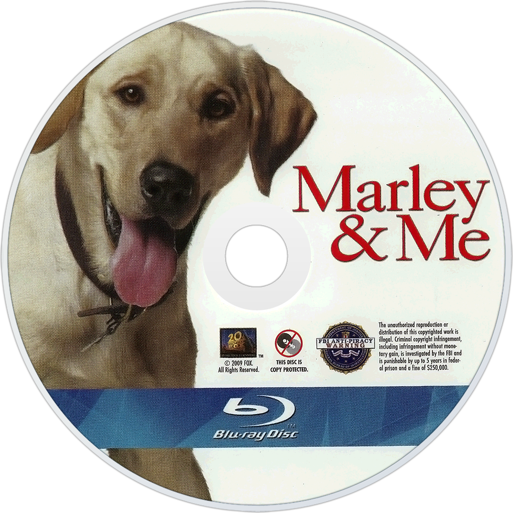 Marley & Me Picture - Image Abyss