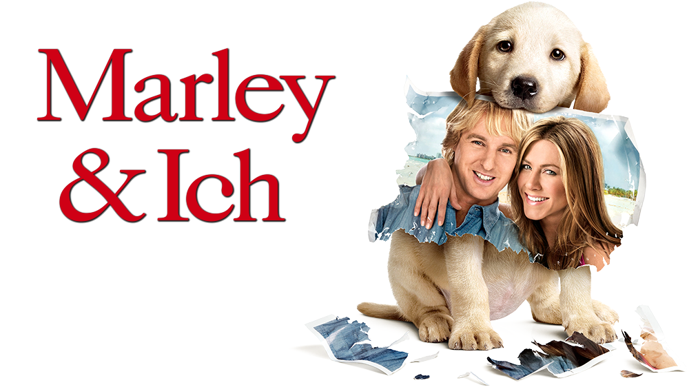 Marley & Me Picture - Image Abyss