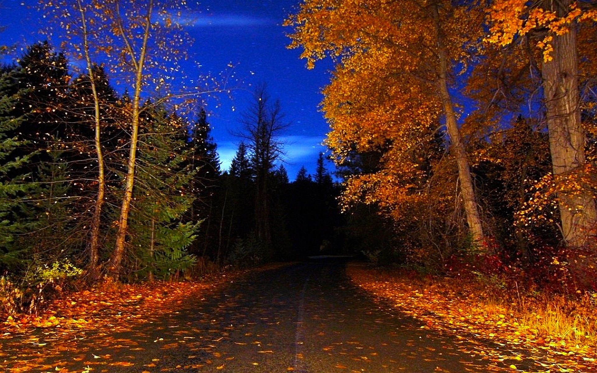 Осенний вечер октября. Осенняя ночь. Осенний вечер. Осень ночь. Осень вечер.