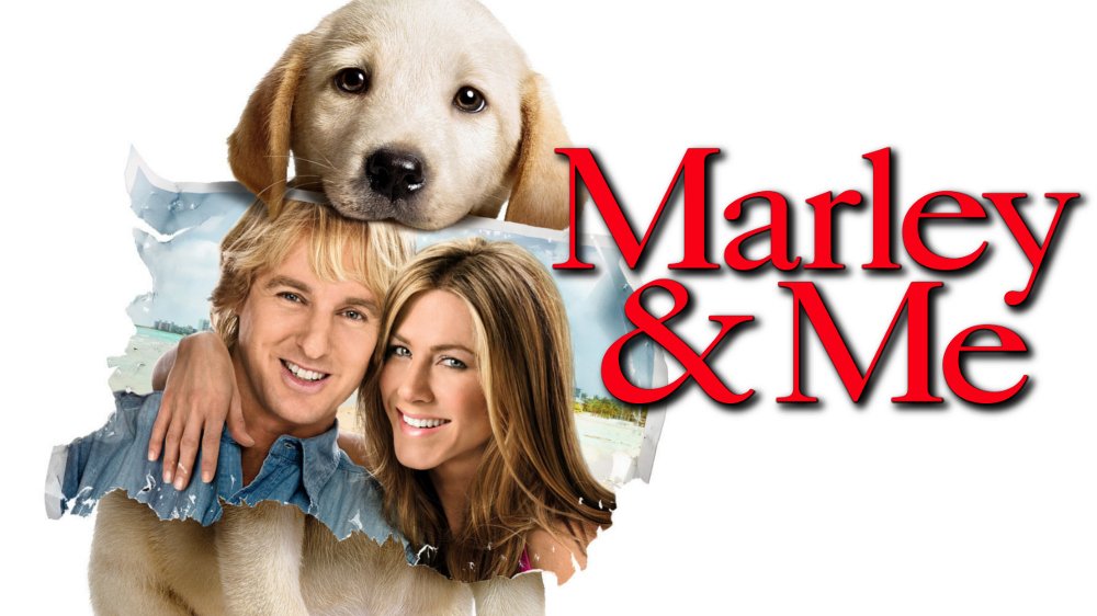 Marley & Me Picture - Image Abyss