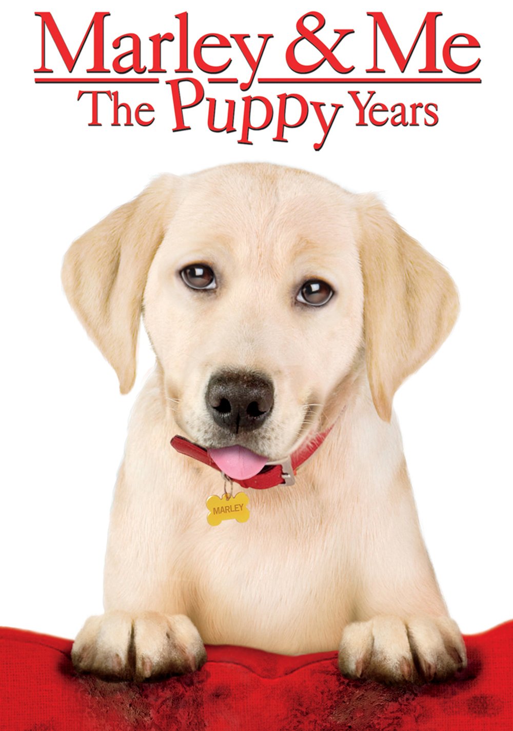 Marley & Me: The Puppy Years Movie Poster - ID: 109081 - Image Abyss