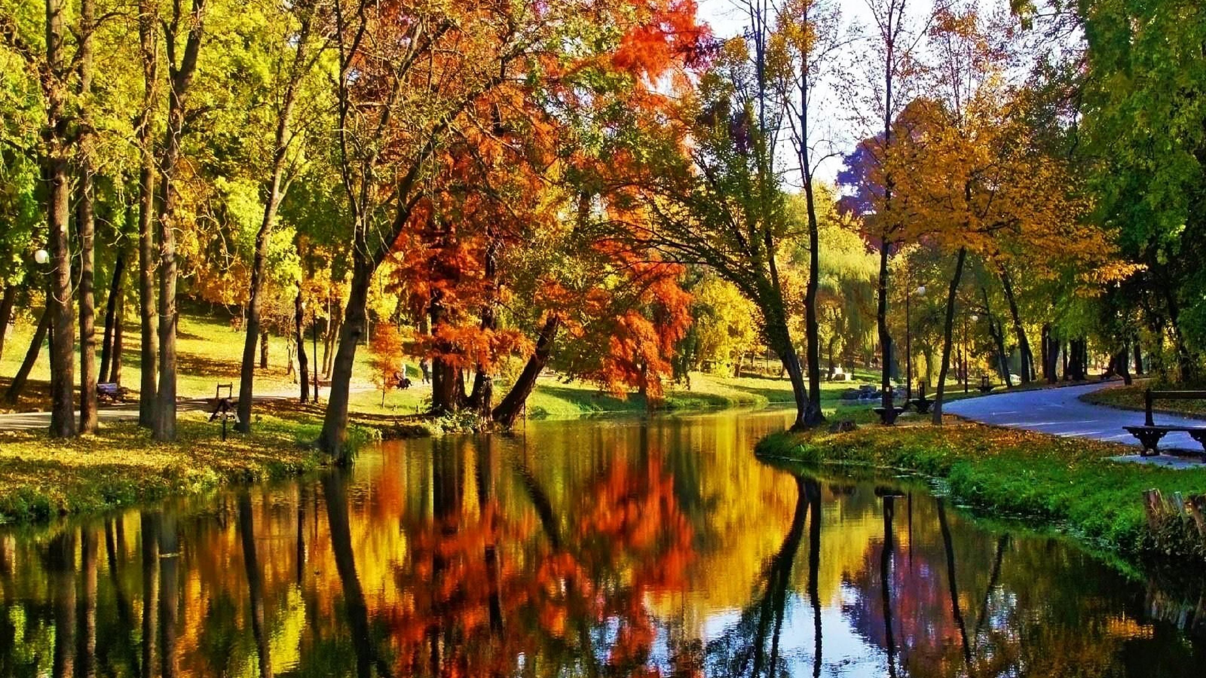 Autumn Trees Reflected in River - Image Abyss