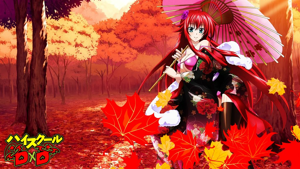 Anime High School DxD Image