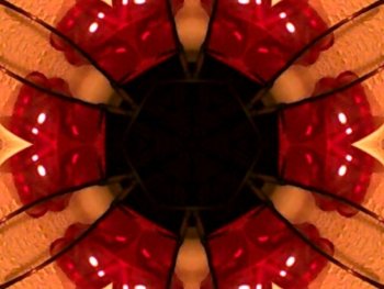 Preview Image 1138