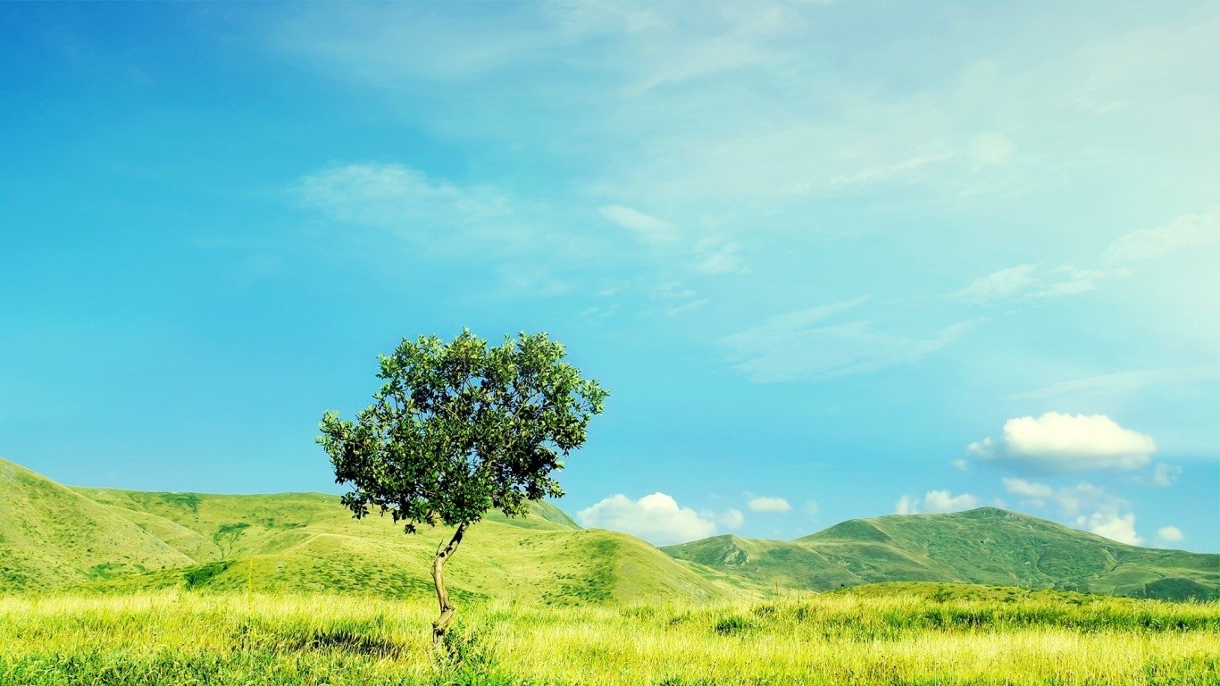 A solitary tree stands in a vibrant green field under a clear blue sky, showcasing the beauty of nature.