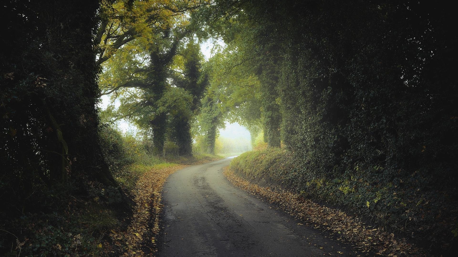 A winding road, bordered by lush trees, creates a tranquil atmosphere. The scene captures the blend of nature and man-made elements, inviting exploration and calm.