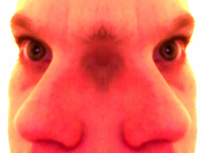 Close-up mirrored portrait of a woman's face in red-orange light, creating a symmetrical, almost abstract view of eyes, nose and forehead.