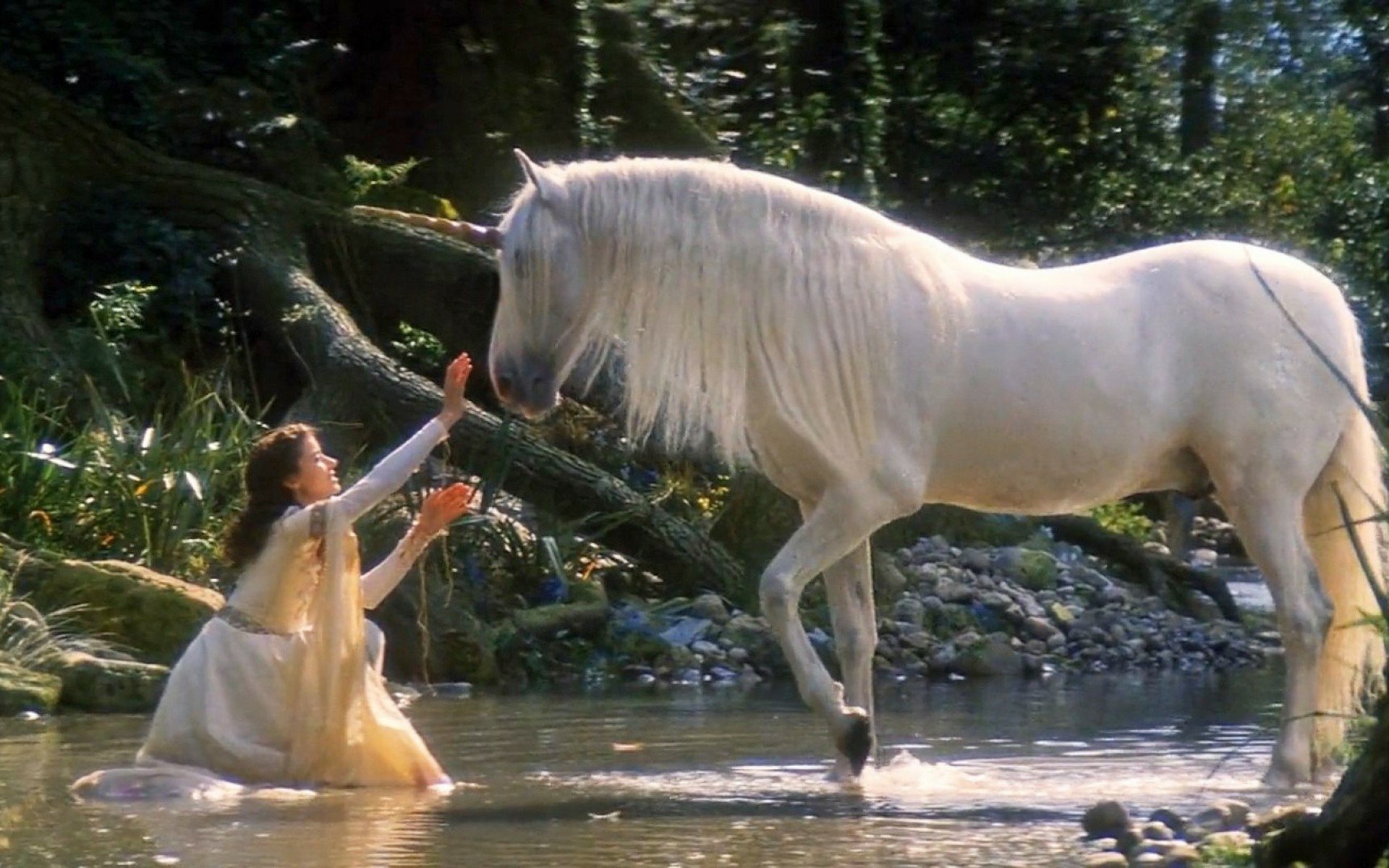  A princess and her unicorn