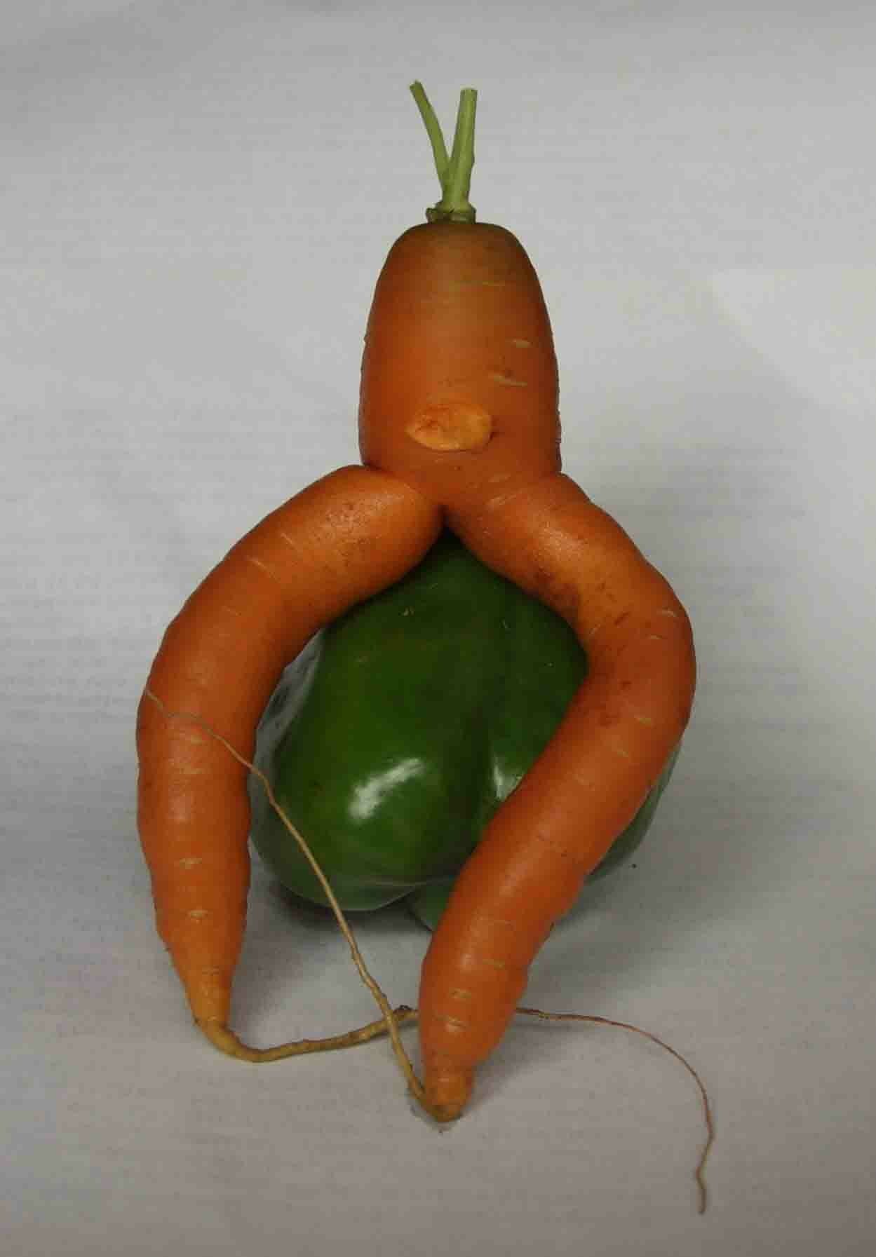  crippled carrot