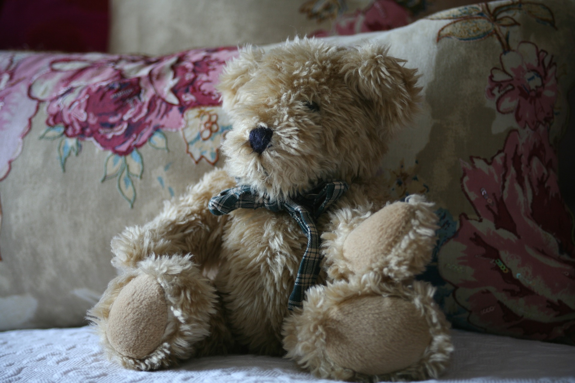 Teddy bear with a ribbon by platinumportfolio