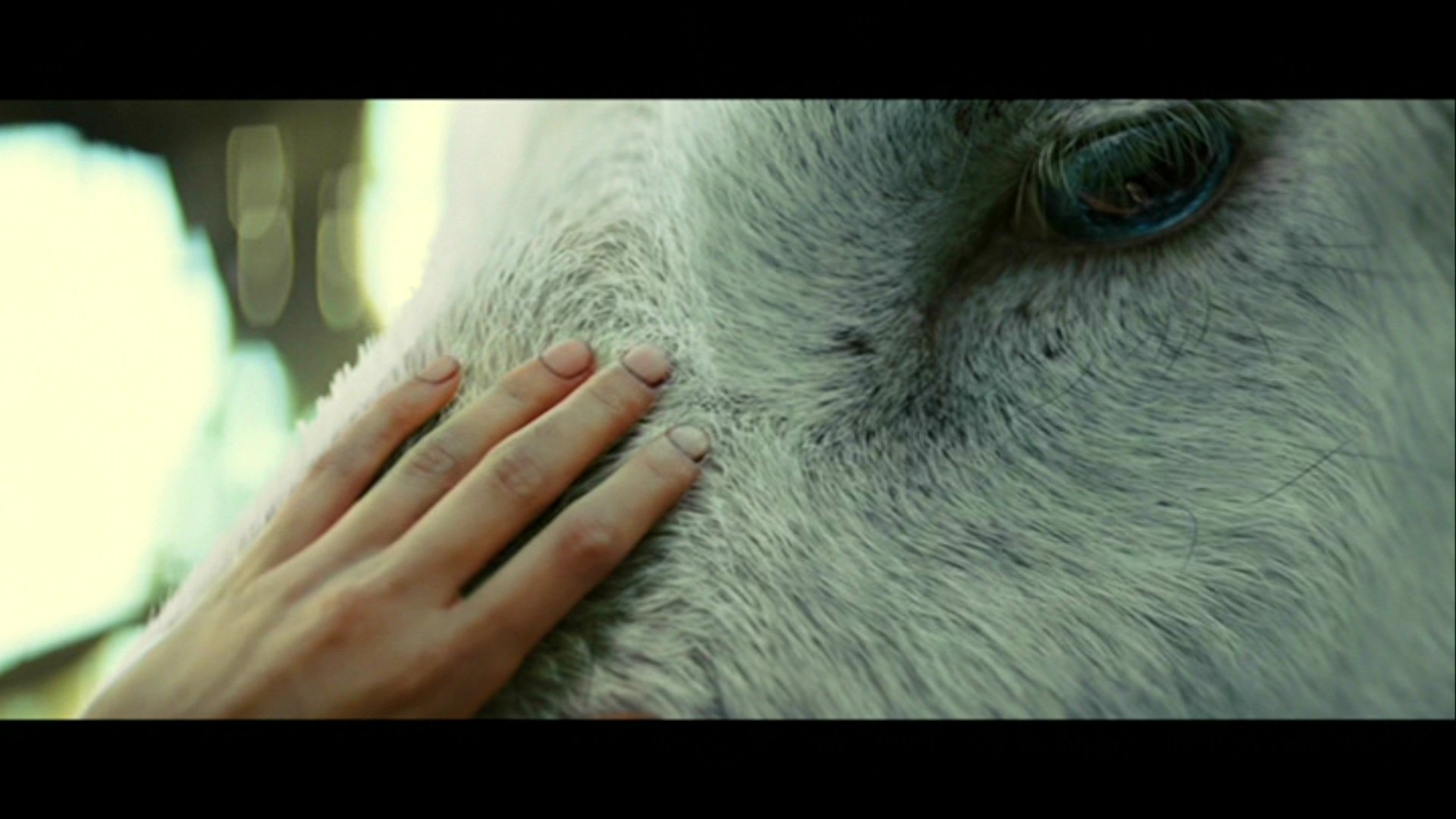 movie Snow White and the Huntsman Image