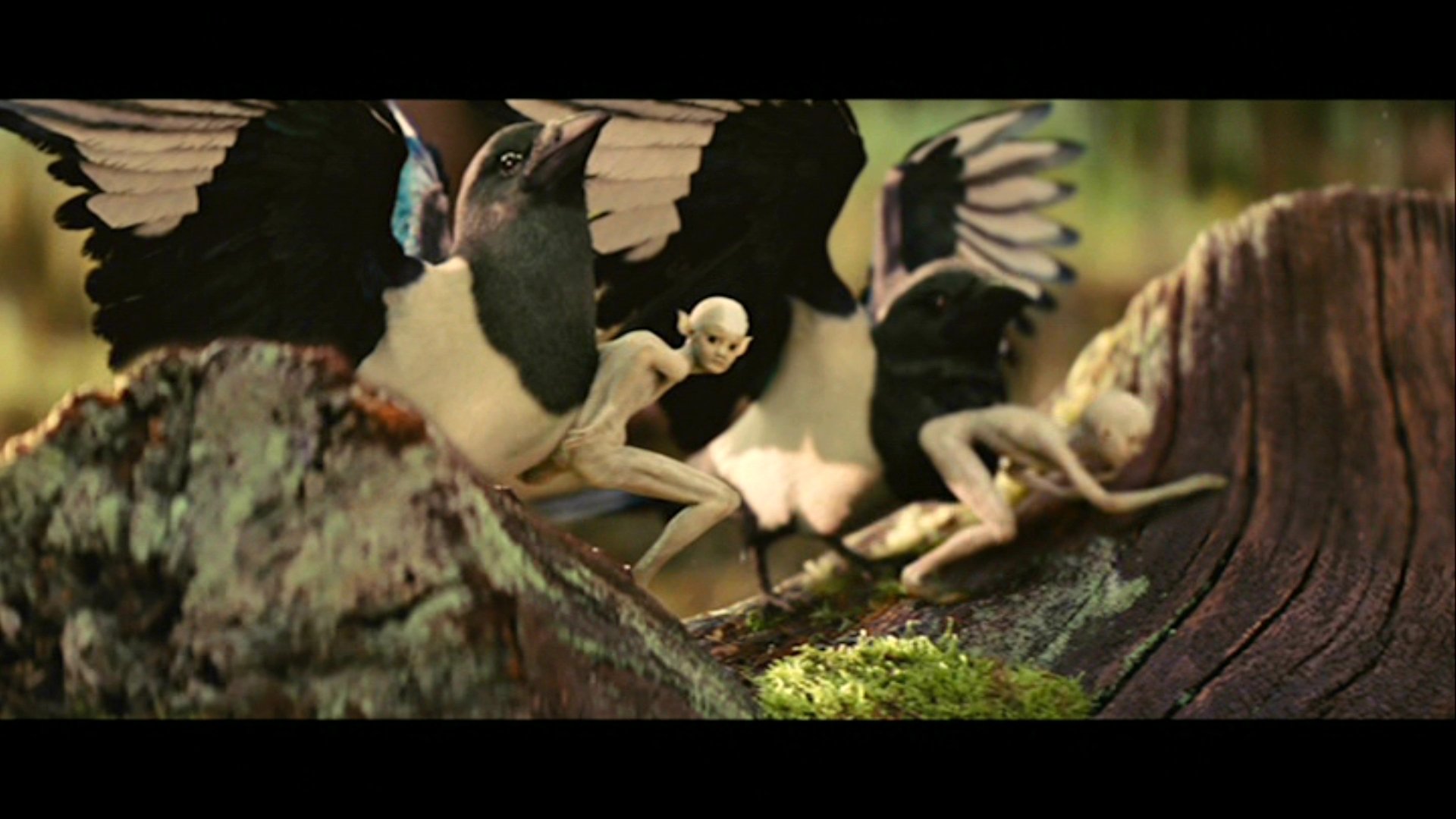 movie Snow White and the Huntsman Image