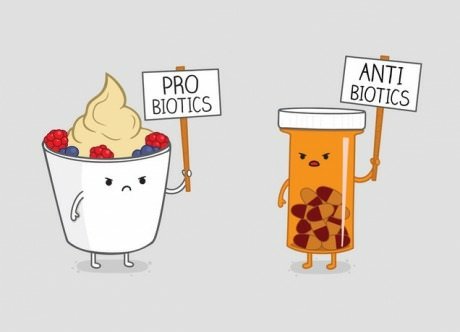 A funny illustration of a yogurt cup holding a Pro Biotics sign, facing off against a pill bottle with an Anti Biotics sign, both looking comically determined.
