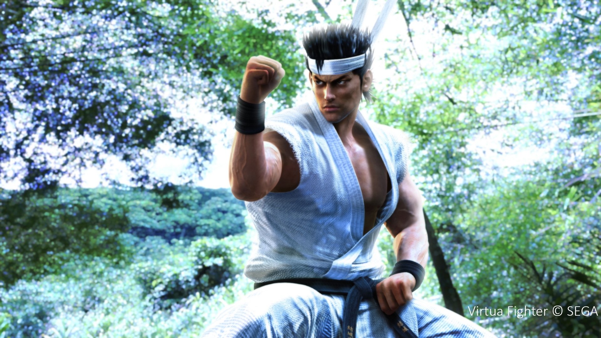 video game Virtua Fighter 5 Final Showdown Image