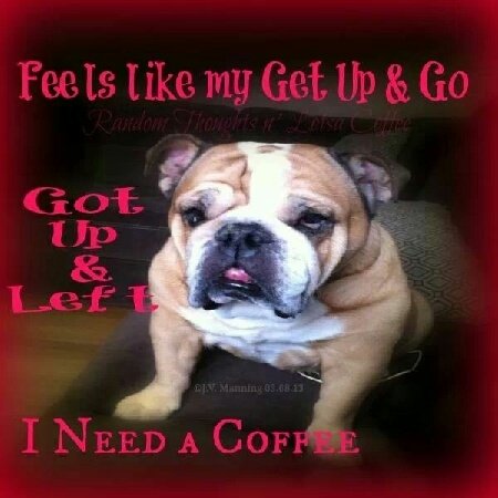 Animal bulldog Image