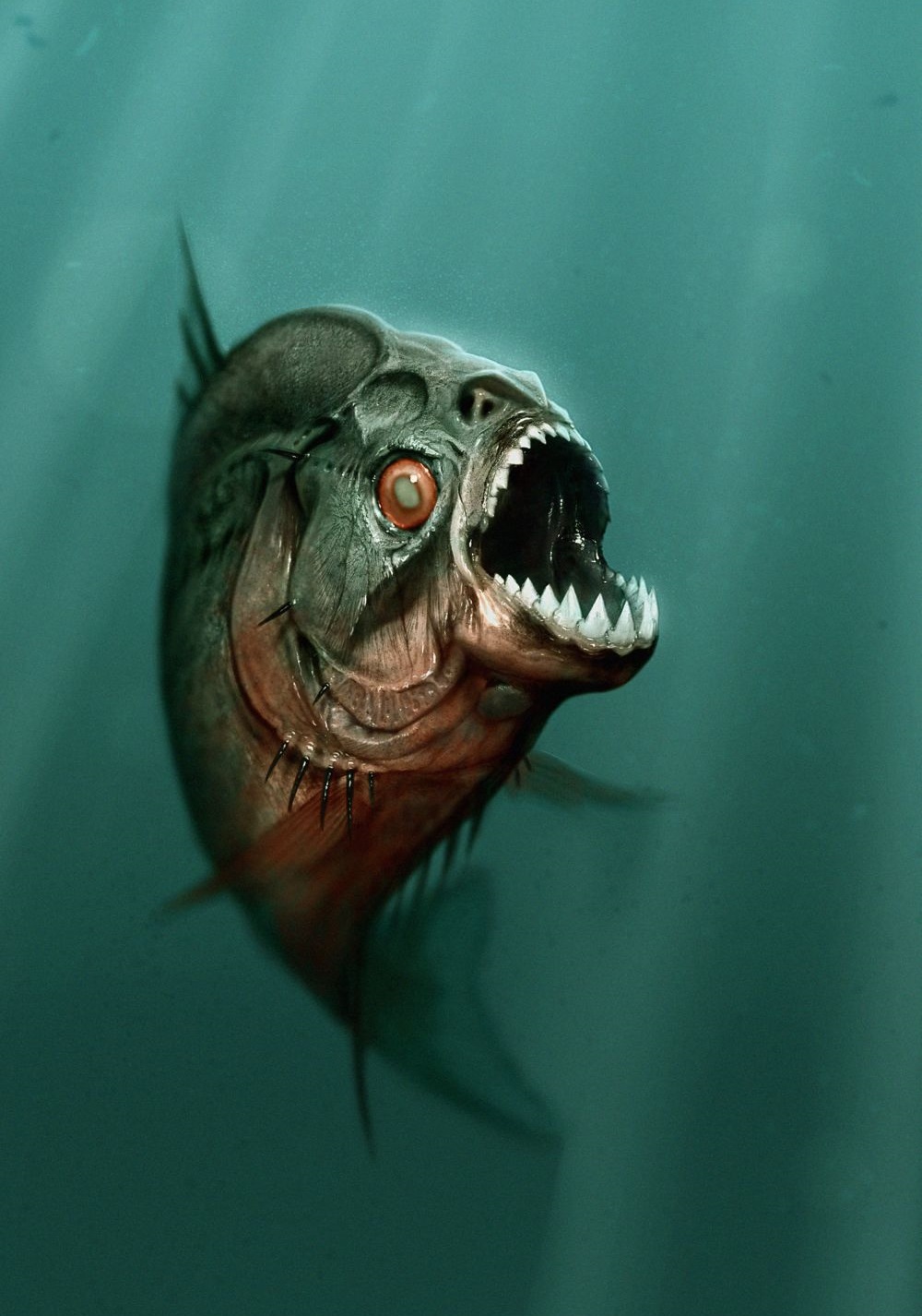 Piranha 3D Picture - Image Abyss