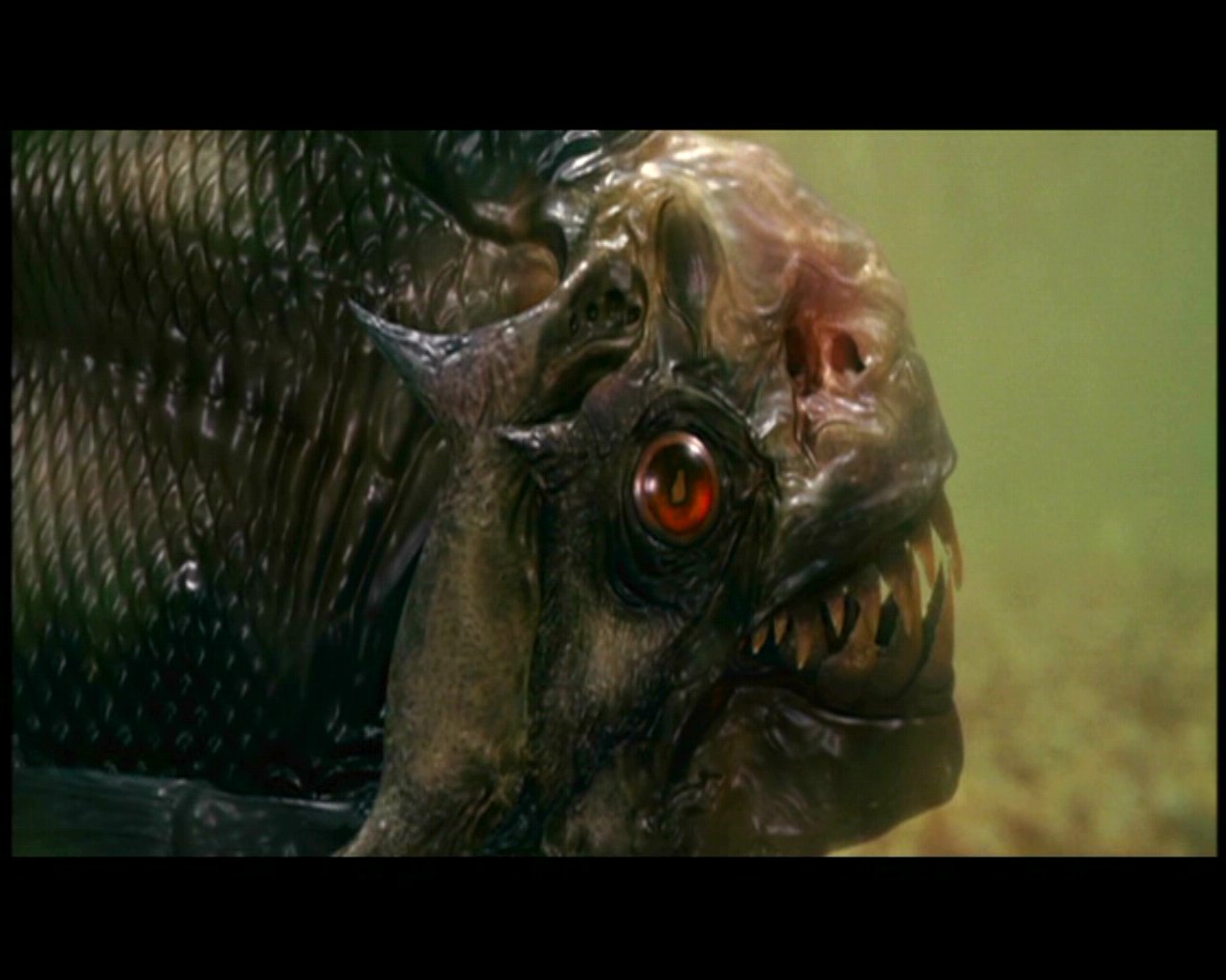 movie Piranha 3D Image