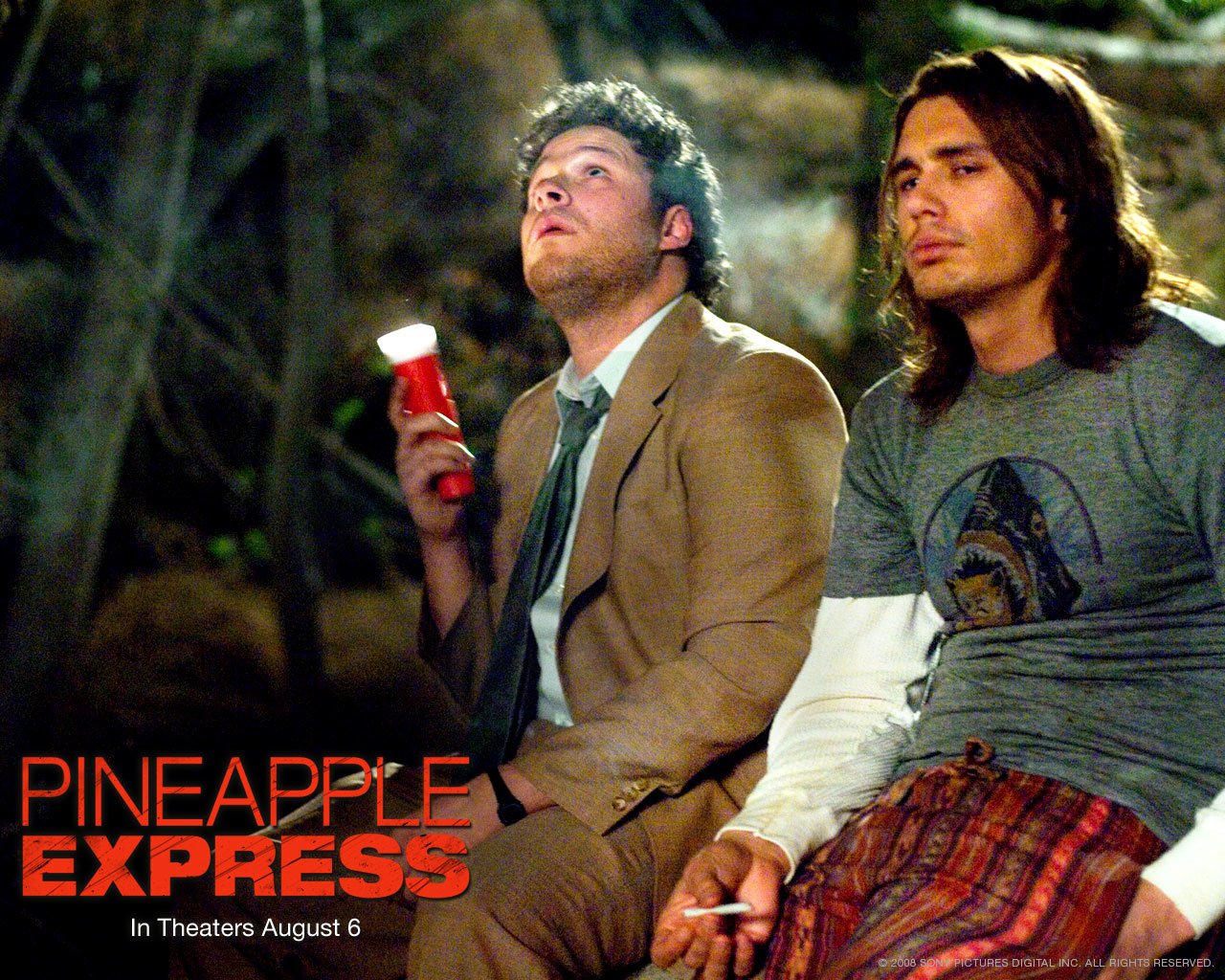 Seth Rogen James Franco movie Pineapple Express Image