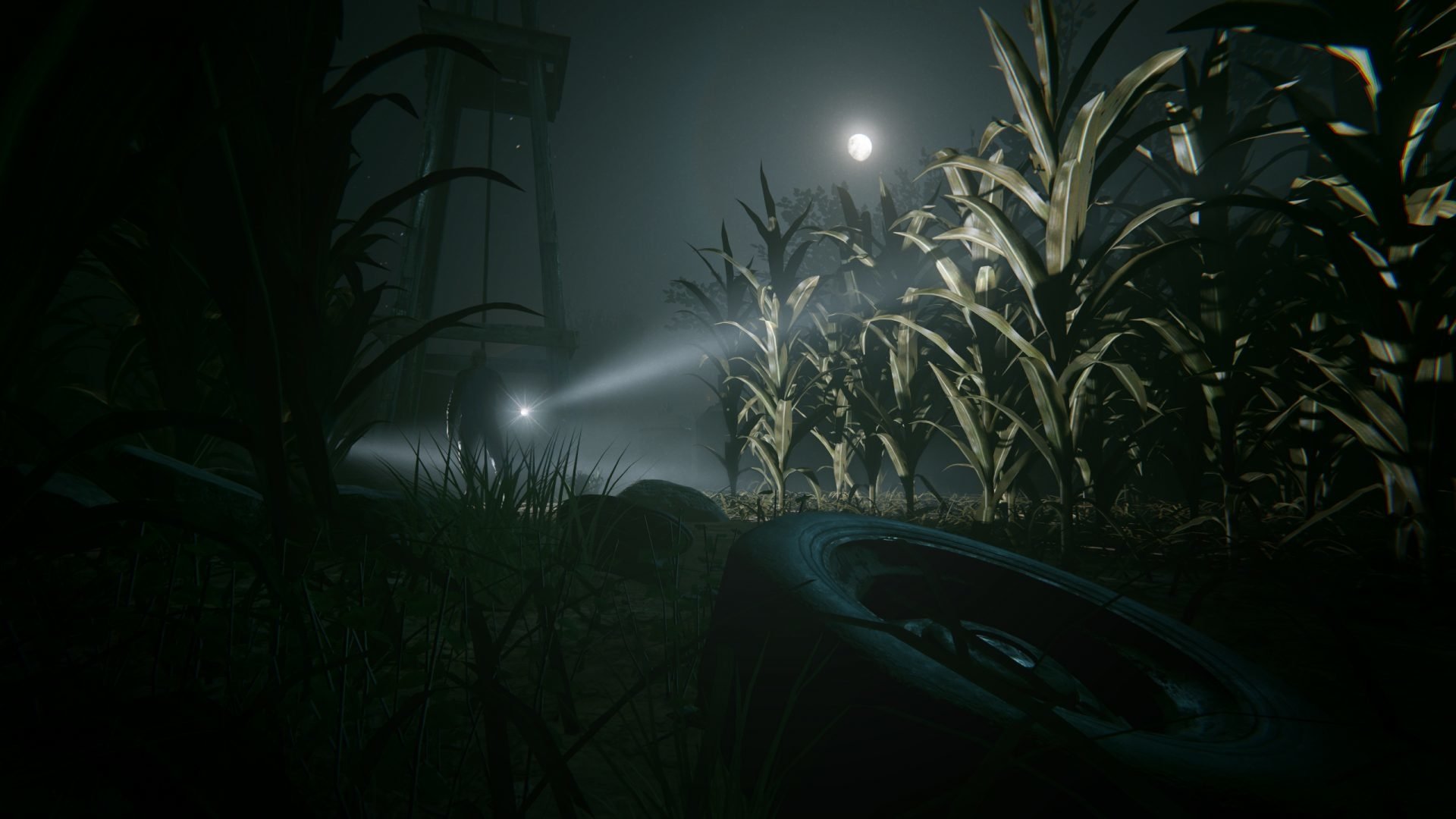 video game Outlast 2 cornfield nighttime fog Image