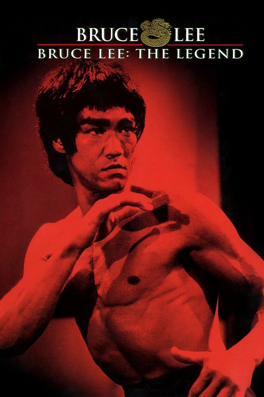 Bruce Lee: The Legend Picture - Image Abyss