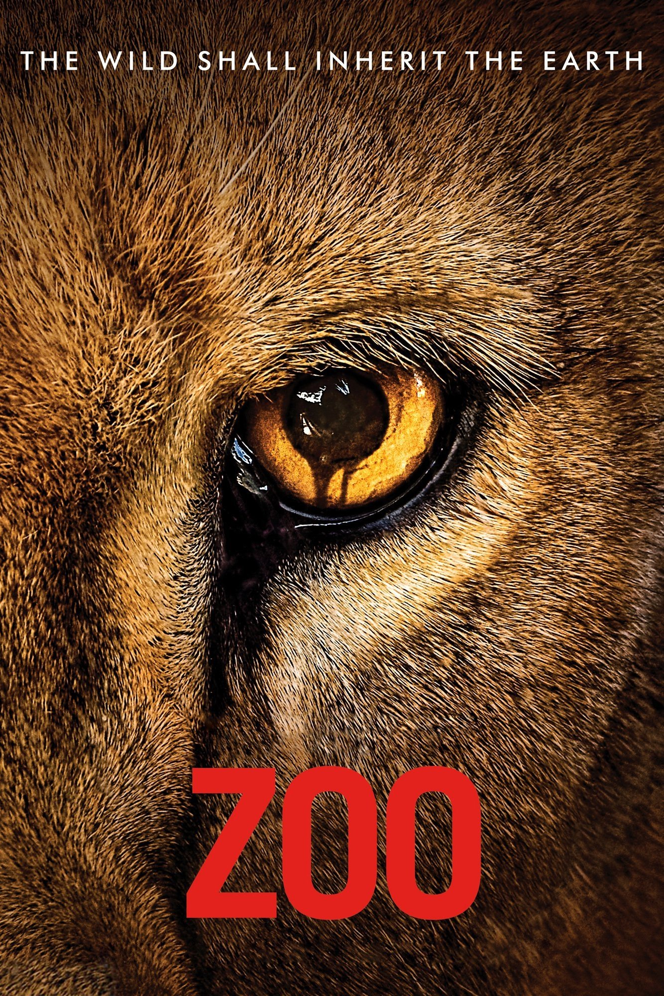 TV Show zoo Image