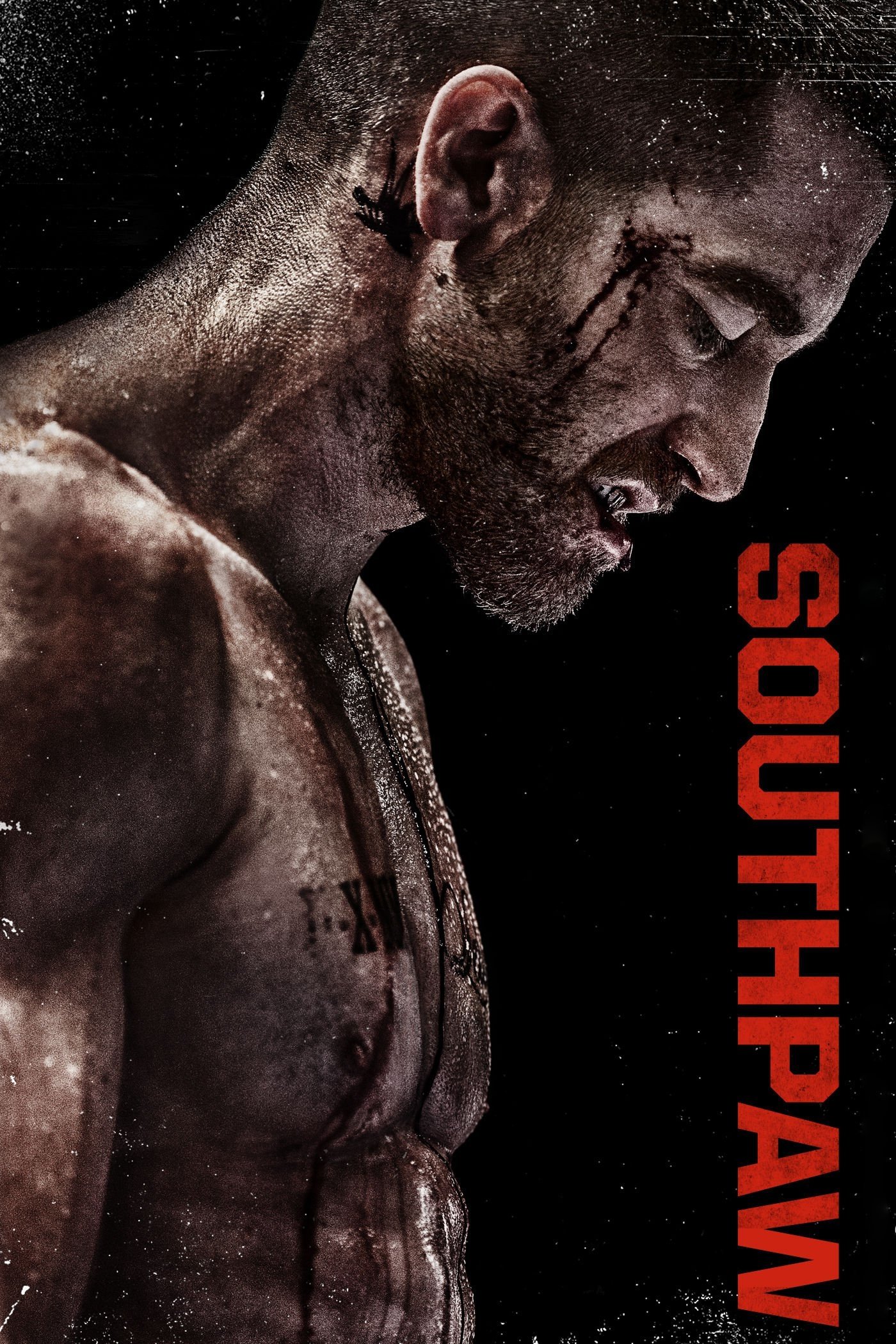 movie Southpaw Image