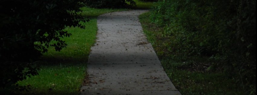photography sidewalk Image
