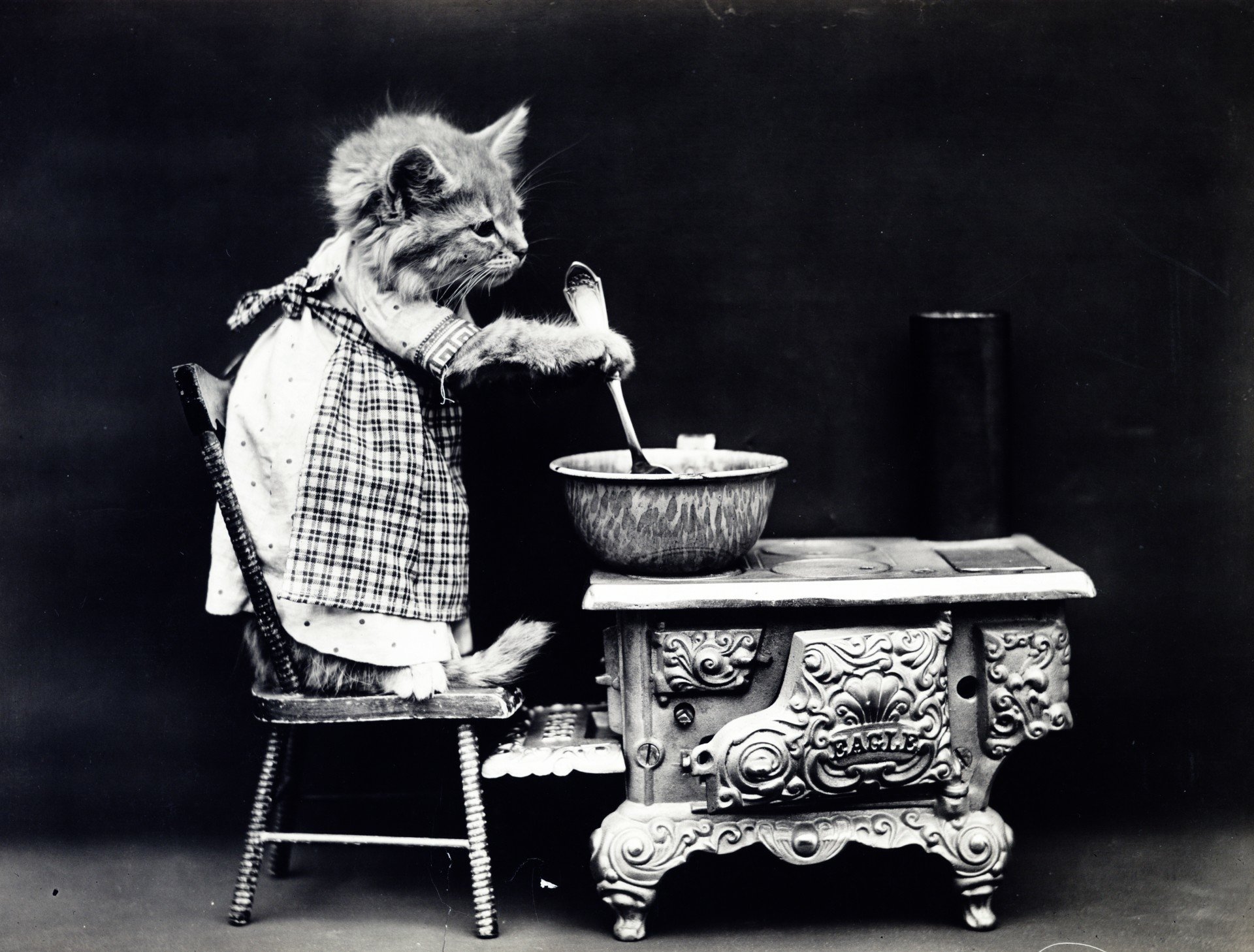 A humorous image of a cat in a dress, sitting at a miniature table, stirring a bowl, evoking laughter with its charmingly ridiculous setup.