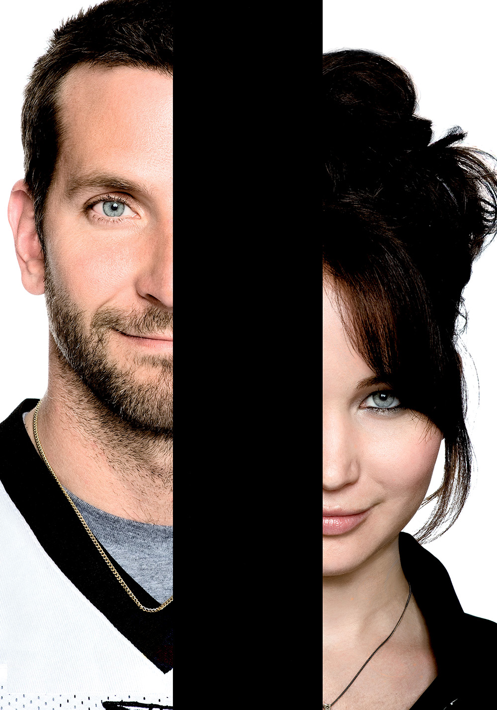 Silver Linings Playbook Picture