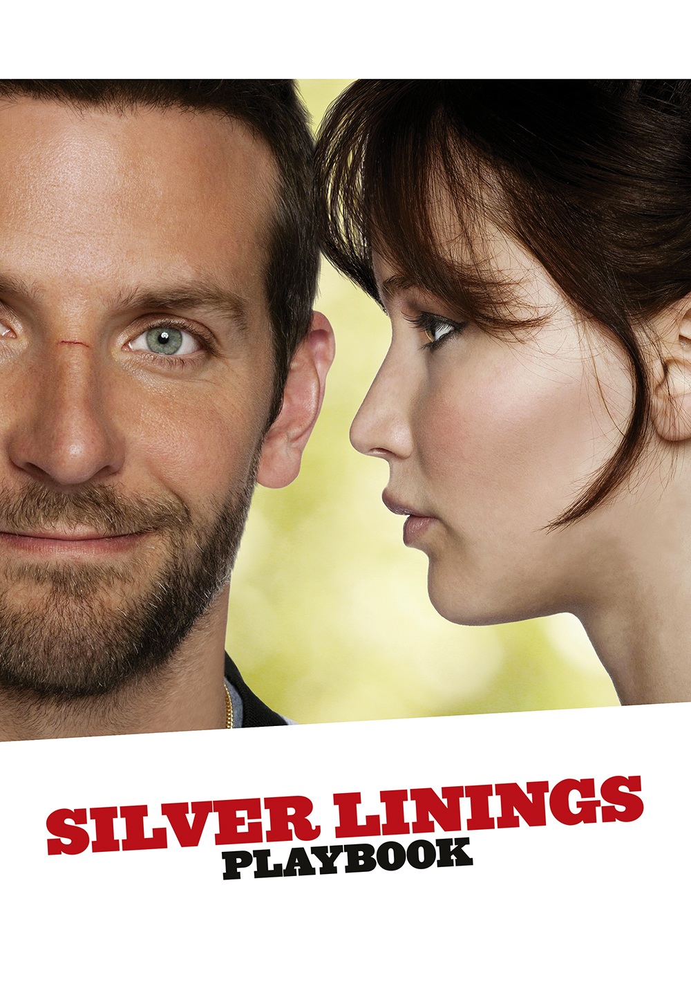 Silver Linings Playbook Picture