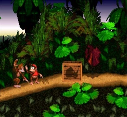 video game donkey kong country Image