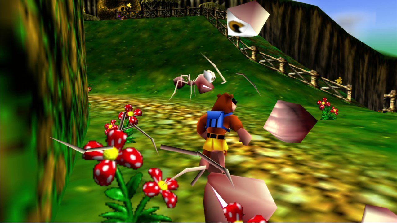 Banjo-Kazooie Picture