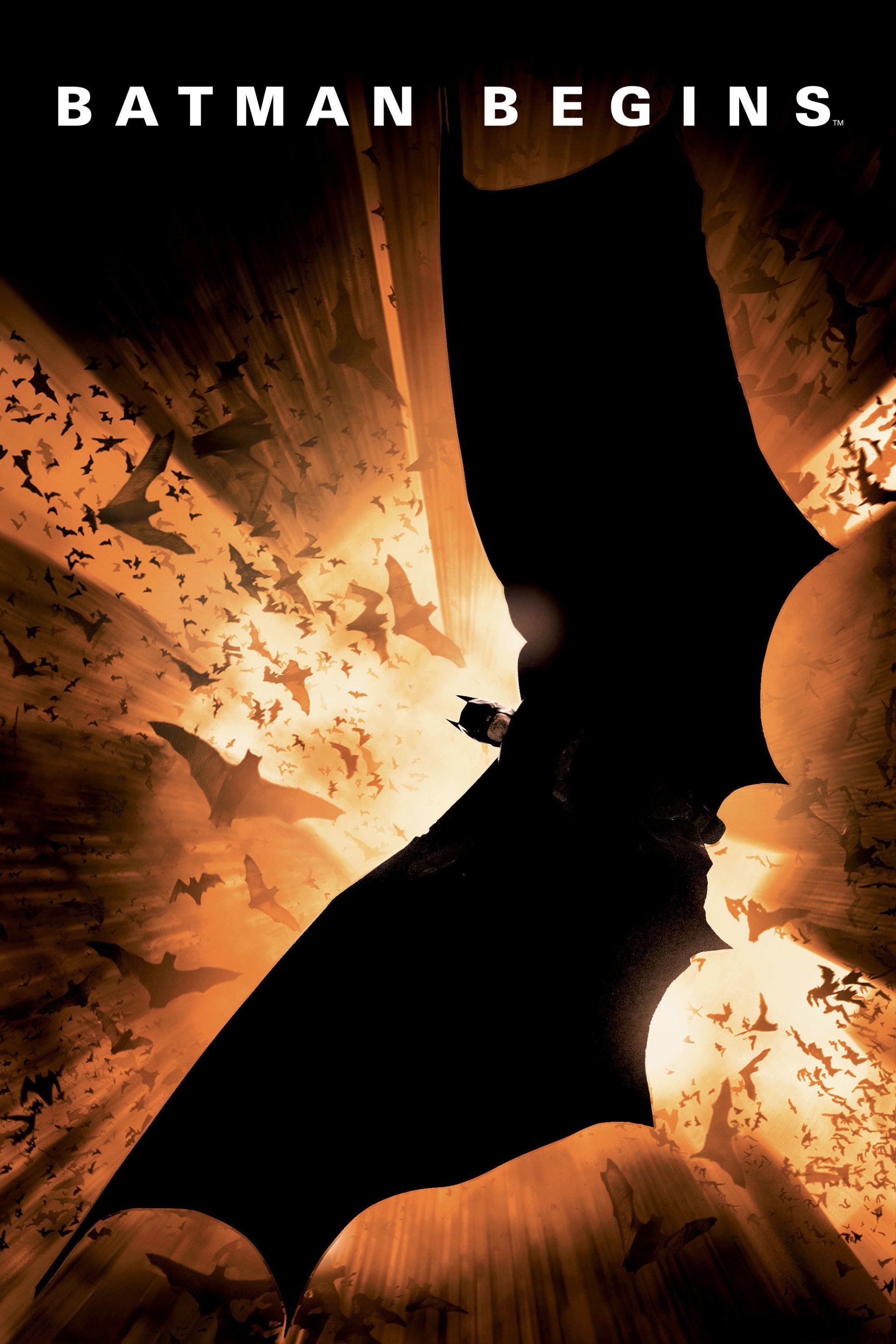 Batman Begins Movie Poster - ID: 127262 - Image Abyss