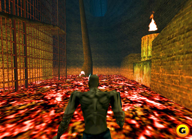 Shadow Man Picture