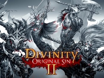 30+ Divinity: Original Sin II HD Wallpapers and Backgrounds