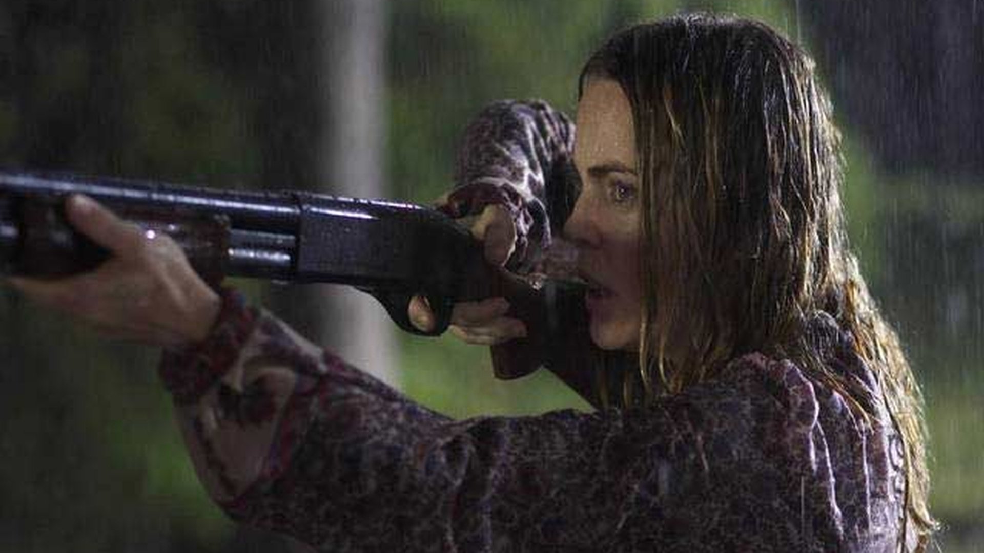 movie The Amityville Horror (2005) Image