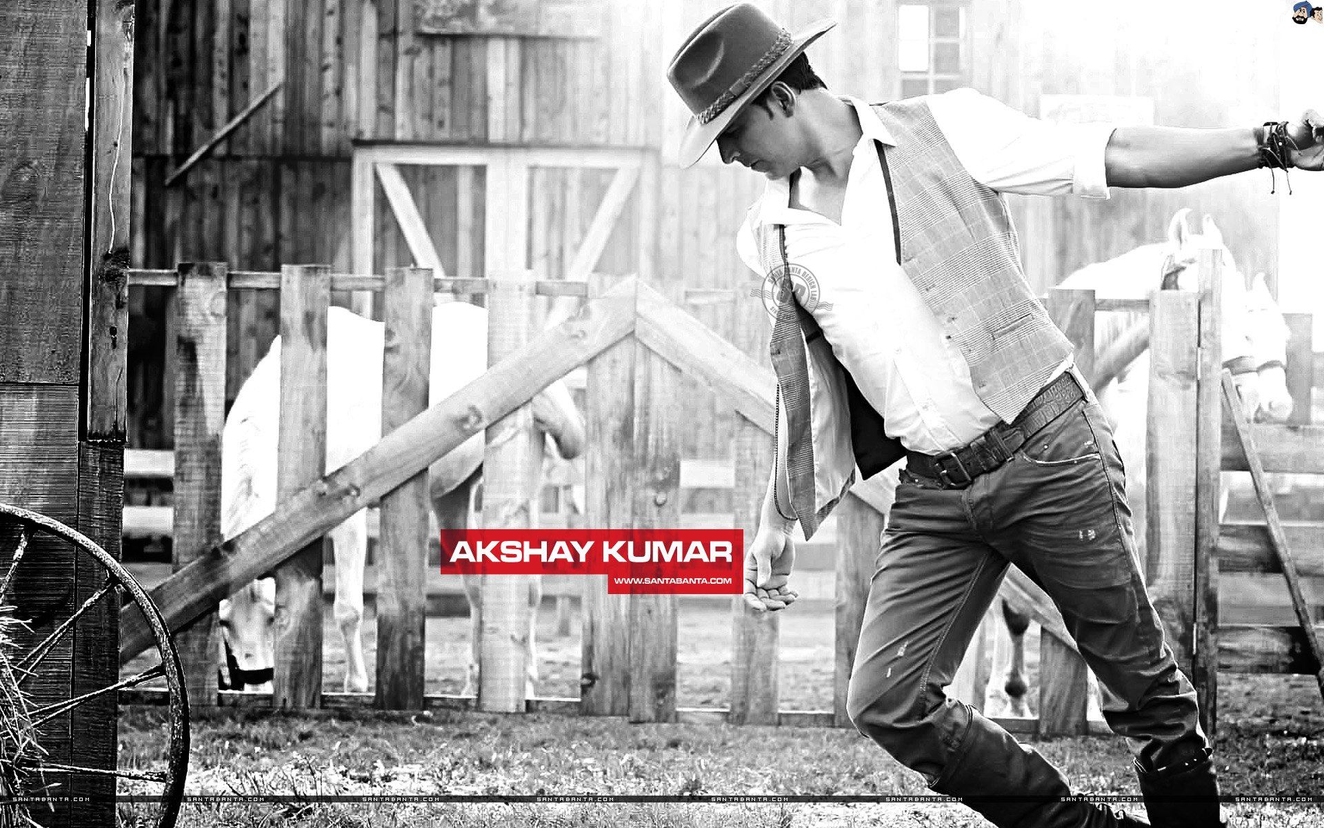 actor Celebrity Akshay Kumar Image