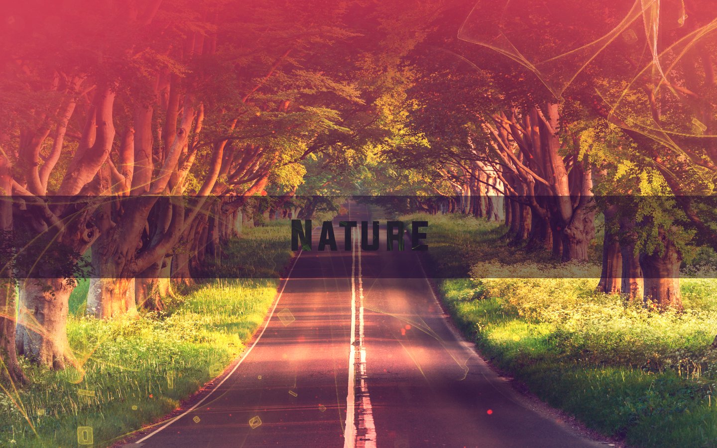 nature artistic Image