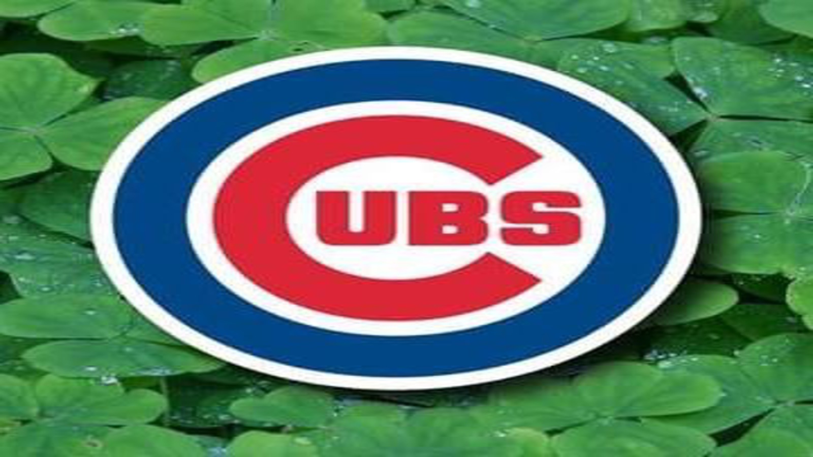 Chicago Cubs Picture